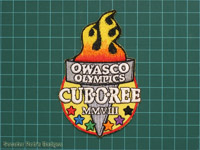 2008 Owasco Cub-o-ree